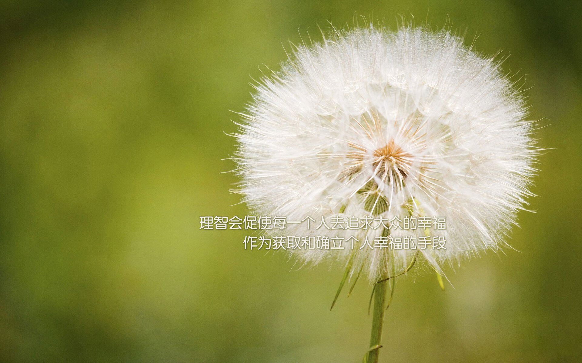 意大利马术协会举办马术运动员国际交流活动,促进文化互鉴。,意大利著名马种