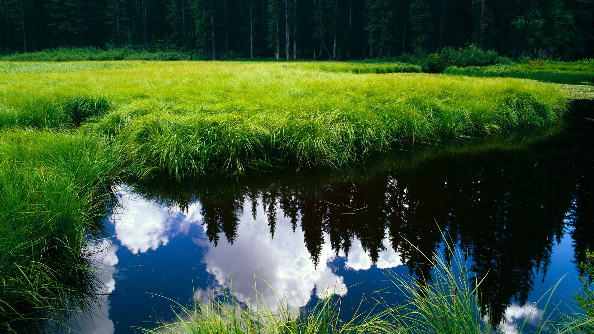 新一届中国篮球代表队集训开启备战奥运，中国篮球领队