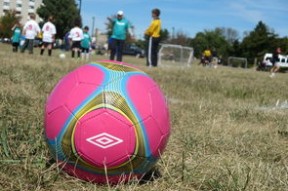 开云-乌干达女篮在非洲锦标赛中展现强大实力，迈向国际新巅峰，乌干达篮球比赛