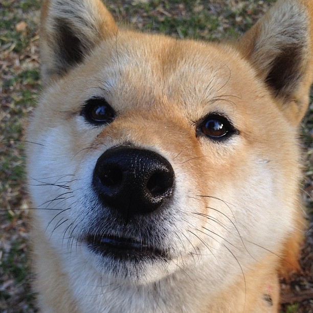 “英超争冠战日趋激烈,榜首球队压力山大”,英超争冠形势